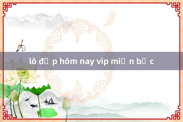 lô đẹp hôm nay vip miền bắc