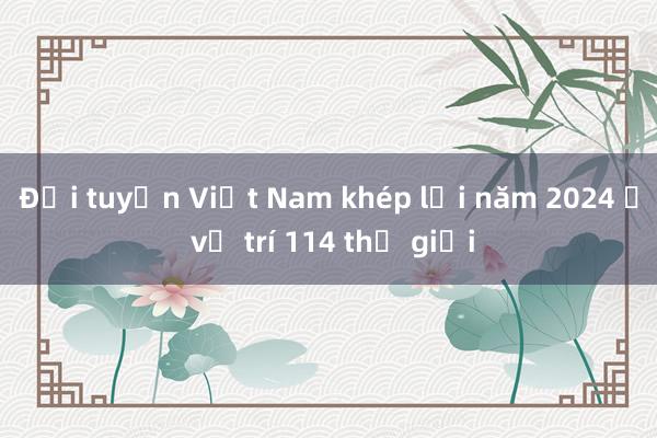 Đội tuyển Việt Nam khép lại năm 2024 ở vị trí 114 thế giới