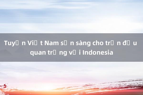 Tuyển Việt Nam sẵn sàng cho trận đấu quan trọng với Indonesia