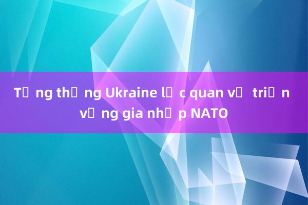 Tổng thống Ukraine lạc quan về triển vọng gia nhập NATO