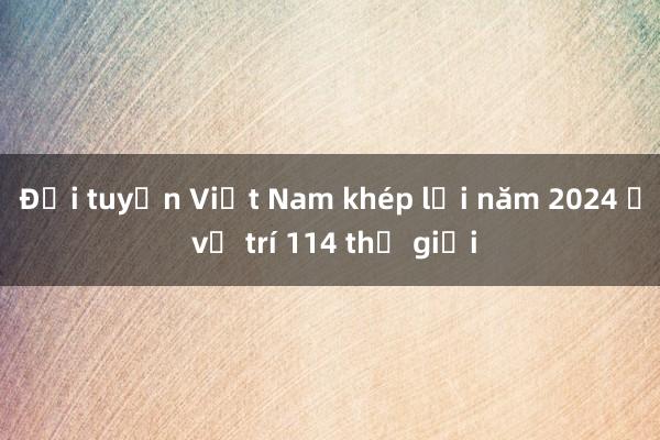 Đội tuyển Việt Nam khép lại năm 2024 ở vị trí 114 thế giới