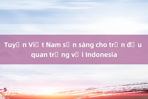 Tuyển Việt Nam sẵn sàng cho trận đấu quan trọng với Indonesia