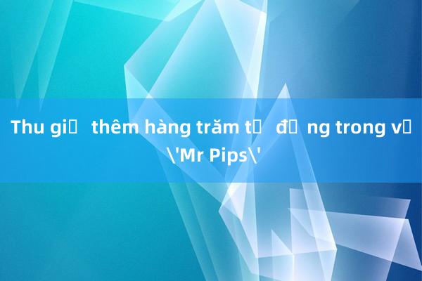 Thu giữ thêm hàng trăm tỷ đồng trong vụ 'Mr Pips'