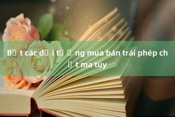 Bắt các đối tượng mua bán trái phép chất ma túy