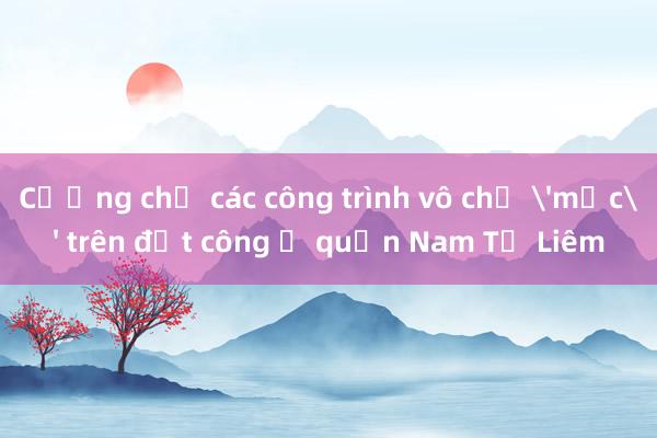 Cưỡng chế các công trình vô chủ 'mọc' trên đất công ở quận Nam Từ Liêm