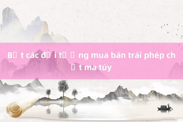 Bắt các đối tượng mua bán trái phép chất ma túy