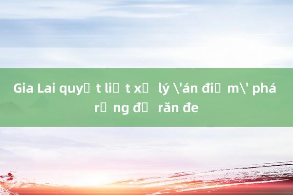 Gia Lai quyết liệt xử lý 'án điểm' phá rừng để răn đe