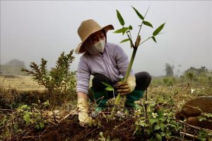 Những thành quả ấn tượng trong hành trình giảm nghèo bền vững